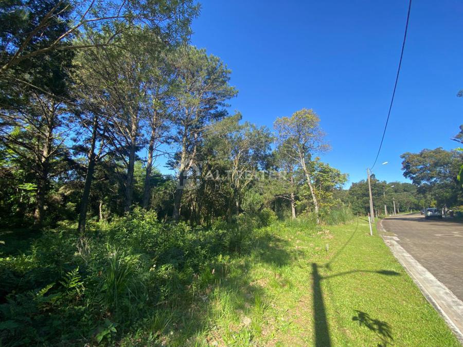 RUA EM FRENTE AO TERRENO