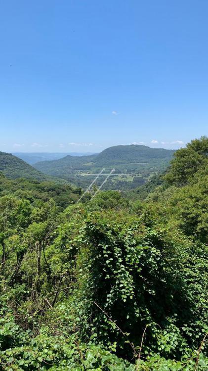 VISTA PARA O VALE DO QUILOMBO