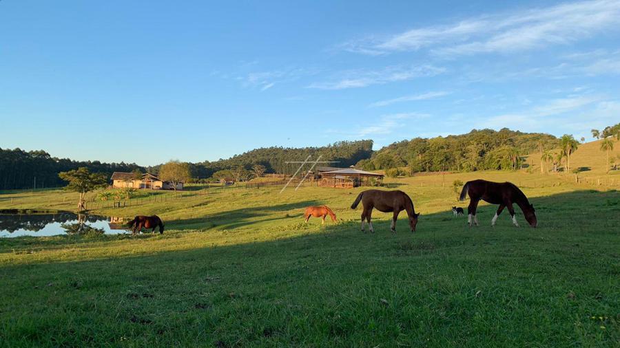 TIFTON E CAMPO MELHORADO