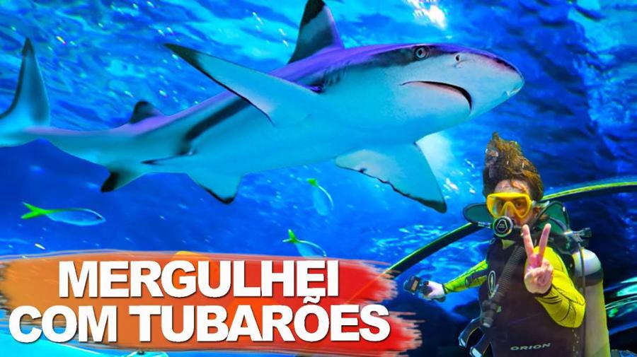 Oceanic Aquarium, o maior aqu�rio do sul do Brasil em Balne�rio Cambori�.