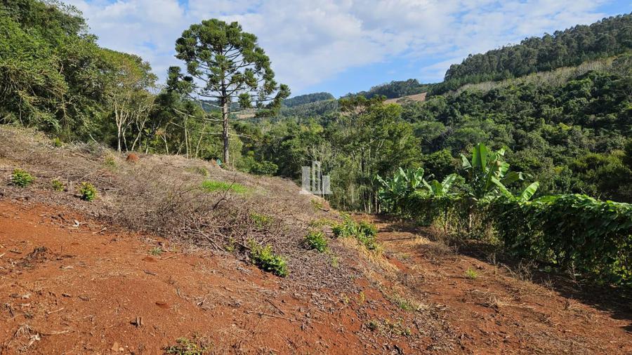 áREA PARA CULTIVO